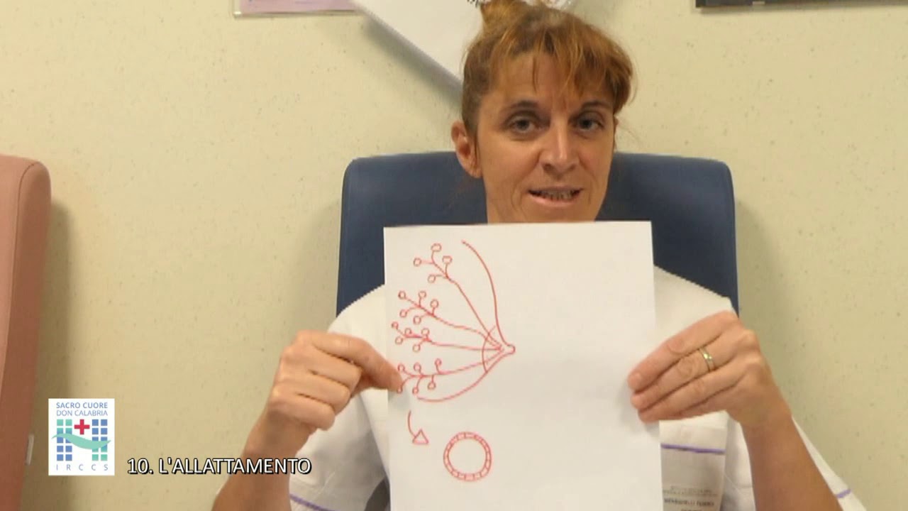 10. L'allattamento: anatomia e benefici