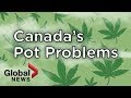 Why are some Canadian cannabis companies struggling? - YouTube