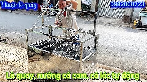Lò quay, nướng cá cam, cá lóc tự động