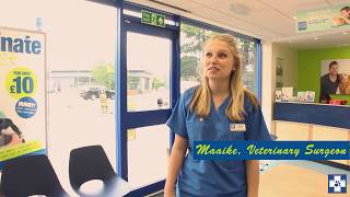 Meet Maaike, our fabulous friendly vet in Bradford - Eccleshill! by White Cross Vets 294 views 6 years ago 36 seconds