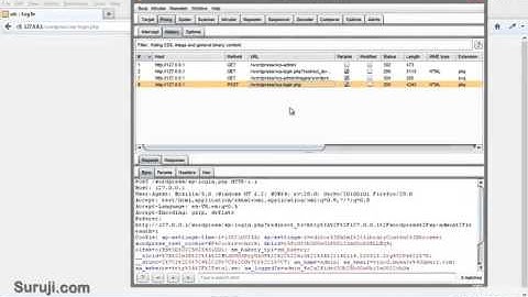 Authentication Bypass With Bruteforce