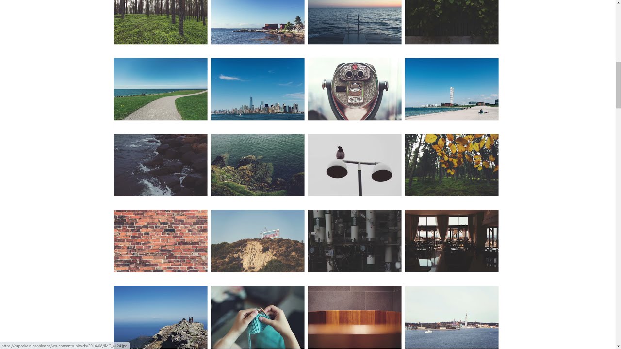 Cupcake: The Photos of Jonas Wimmerström (Public Domain)