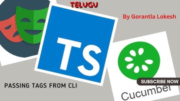 [2024] Part 11: Passing Tags from CLI | #playwright #typescript #cucumber #telugu