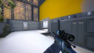 ESEA Squeeks | AWP Ace