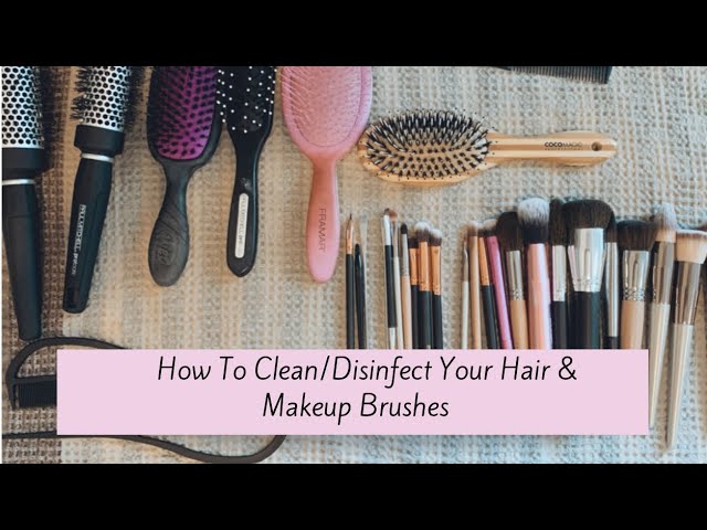 How to Clean a Hair Brush in 2022 - Easy Ways to Sanitize Brushes