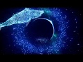 Tetris Effect - The Deep: Yours Forever - Theater Mode