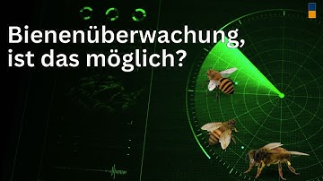 Bienenüberwachung mit kleinem Huckepack Sensor ermöglicht Unglaubliches!