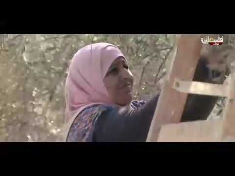 قناة أبو أ سيد أبو الر ب احنا الأرض احنا رسمت ملامحنا