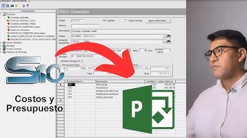 La manera correcta de exportar del S10 a Ms Project