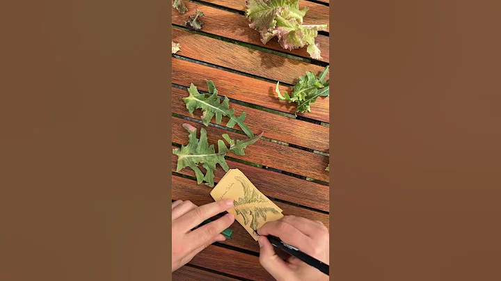 Kreativnost / Označi sam kesice za sjeme