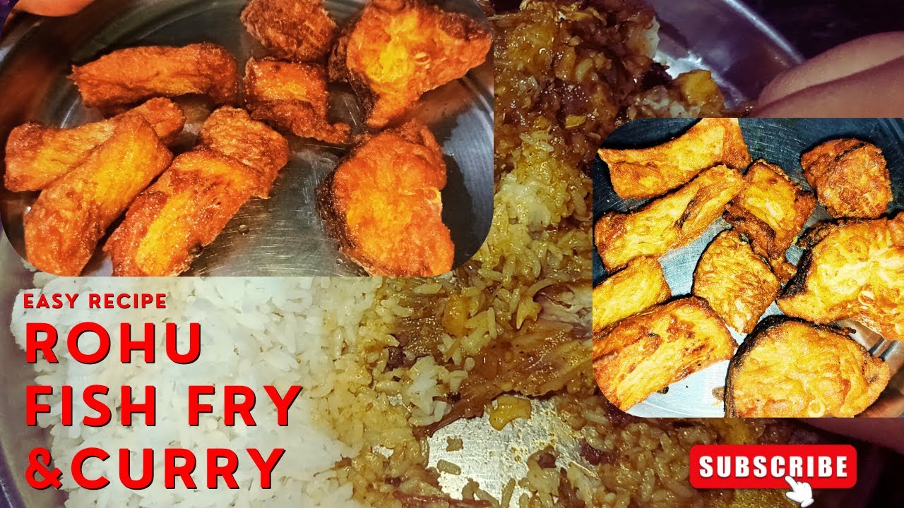 Rohu Fish Curry | Rohu Fish Fry | Fish Cooking & Eating with Rice 🍛 ...