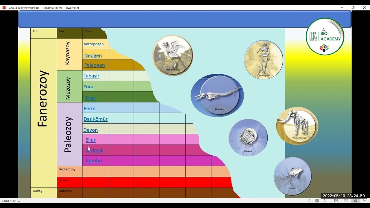 Geoxronoloji cədvəl