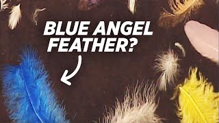 First, Angel Feathers Appear. Then This Happens…