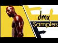 Samples From DMX