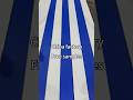 BMW color requested by the customer,Whatever you want, we can do it #wood #flooring #walls #WPC