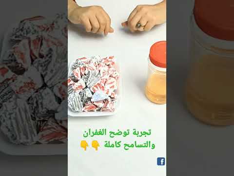 تجربة بسيطة للتسامح العاب