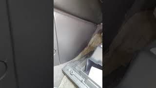Match Highlights 2008 Pontiac G-6 mode door actuator