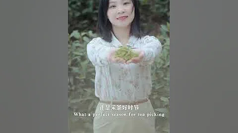 百縣主播雙語秀江西｜我為龍南當導遊 - 天天要聞