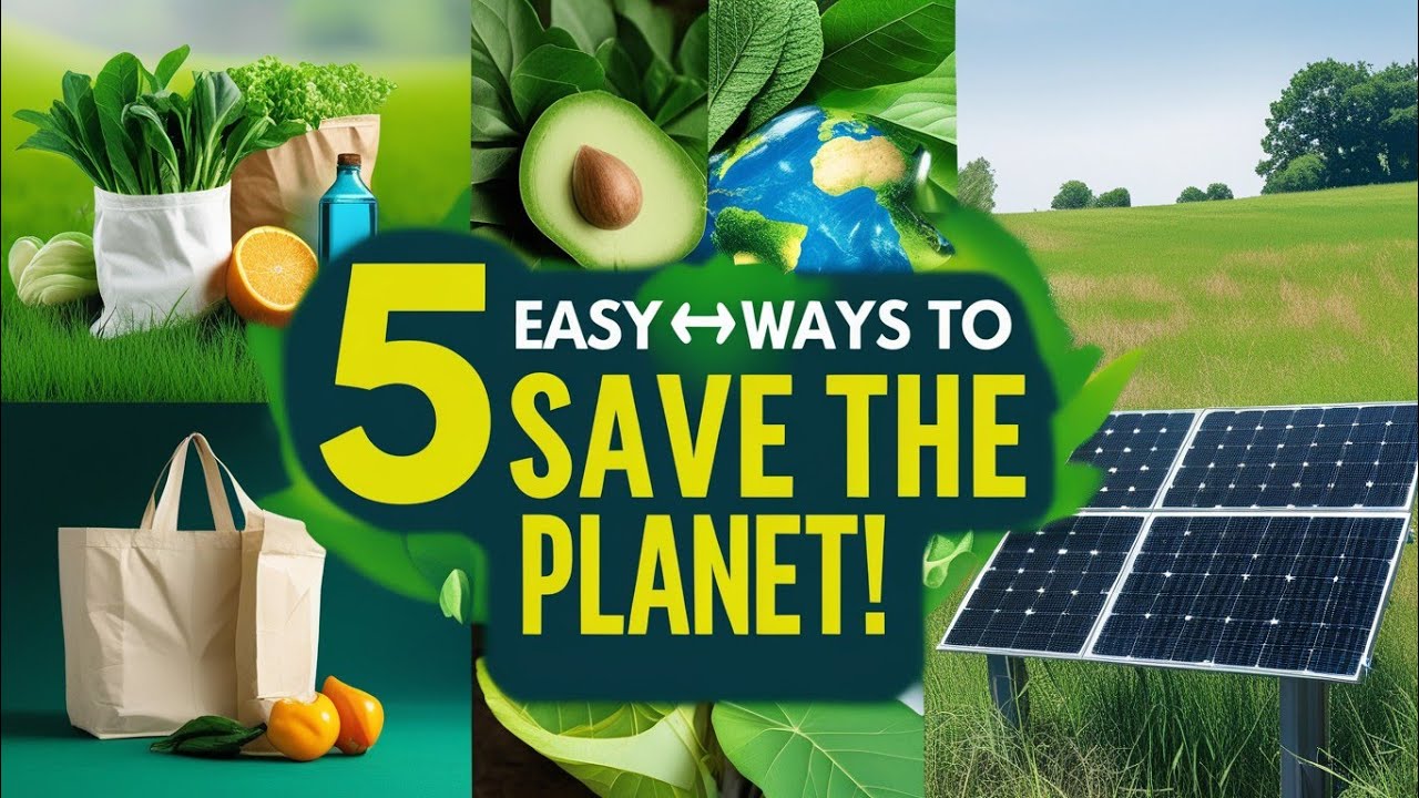 05 Easy Ways to Live More Sustainably and Save the Planet! - YouTube