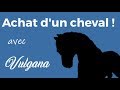 Sso on a achet un shire  avec vulgana