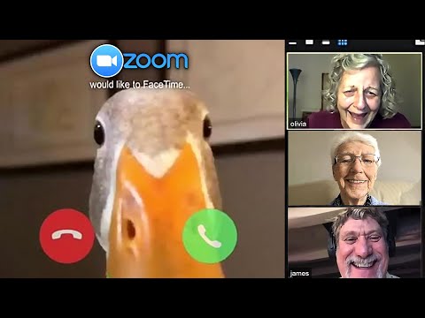 trolling zoom classes...