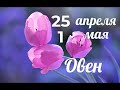 ОВЕН 25 апреля-1 мая/ARIES TAROT/塔羅白羊座/Tarot Berana/Tarot du Bélier/Tarocchi Ariete/Tarot Koçu.