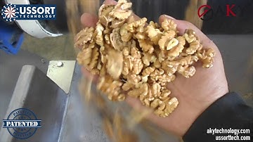 AKY Technology Walnut Cracking and Cleaning Machine