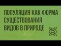 Популяция как форма существования видов в природе. Видеоурок по биологии 9 класс