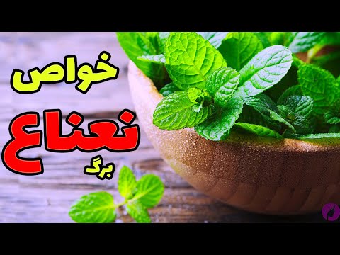 خواص نعناع جادویی  دلیل برای اینکه هر روز نعناع بخوریم خاصیت نعناع