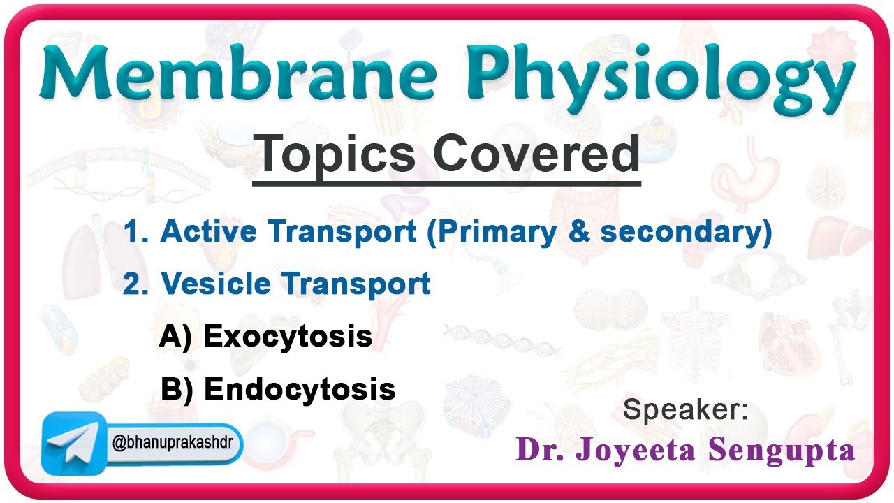 Membrane Physiology - Active transport & Vesicle transport