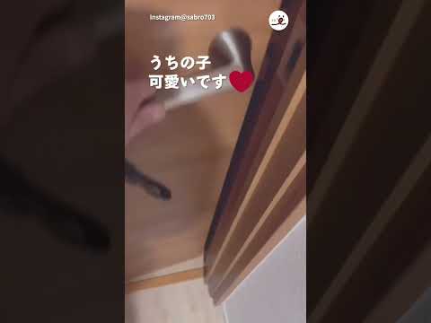 帰りを待ってくれていたと思ったら…｜PECO