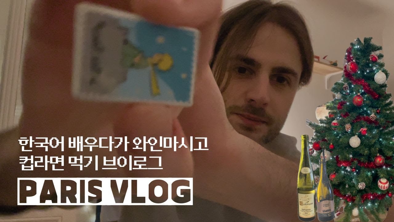 VLOG 🇰🇷🇫🇷 KRFR 한국어 공부하고 와인마시는 프랑스 일상 브이로그