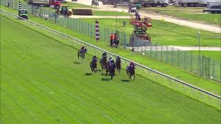 Vidéo de la course PMU JIM MCKAY TURF SPRINT STAKES