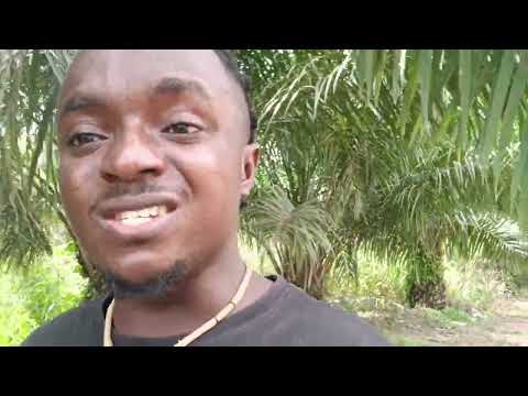 They Were Thinking If They Come Against You You Won T Be A Victim Now They Know That U Re Too Big