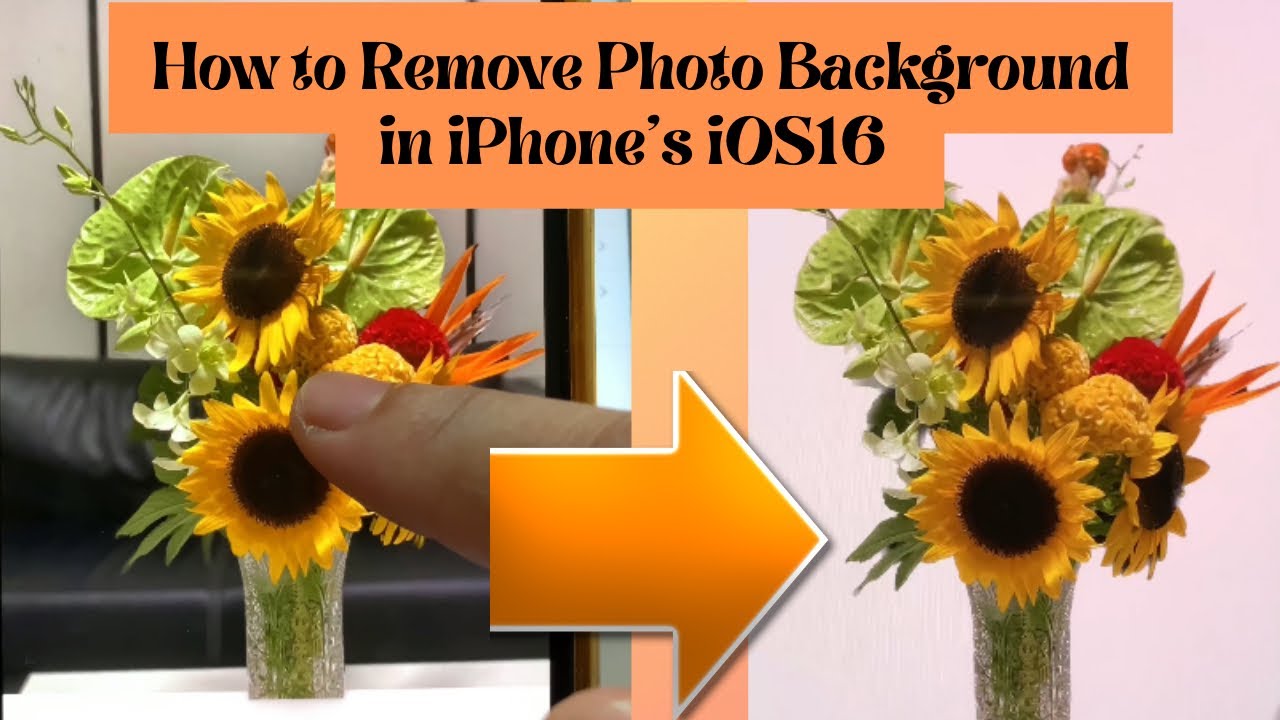 how-to-remove-photo-background-in-iphone-ios-16-photo-editing-feature
