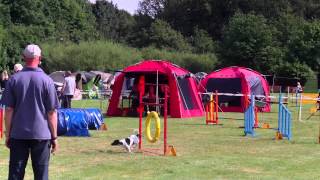 Cassy Agility A1 GHV Flensburg 05.08.12