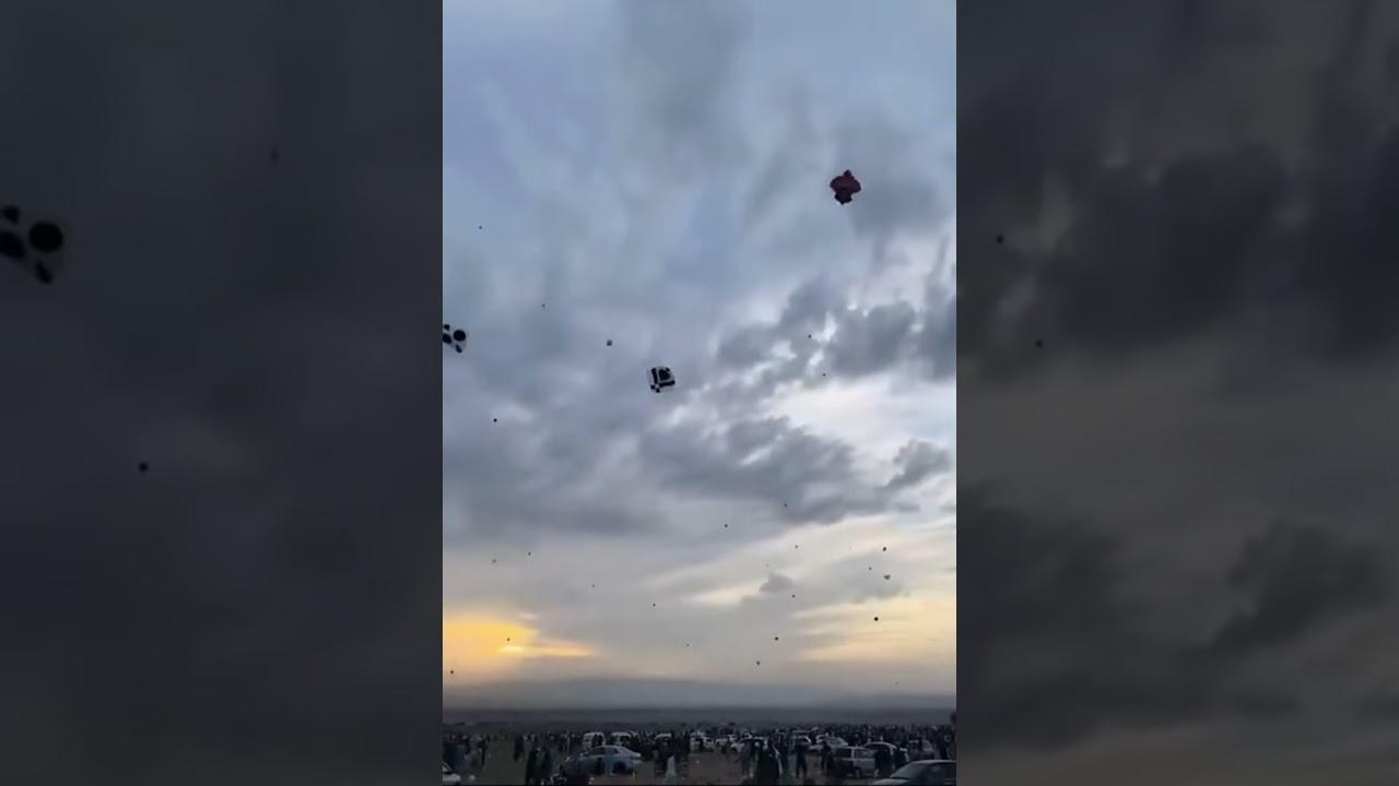 Kite flying shorts | Basant festival celebration | beautiful event 