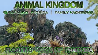 Animal Kingdom | Orlando Florida | Familys Vacation | June 14 2022