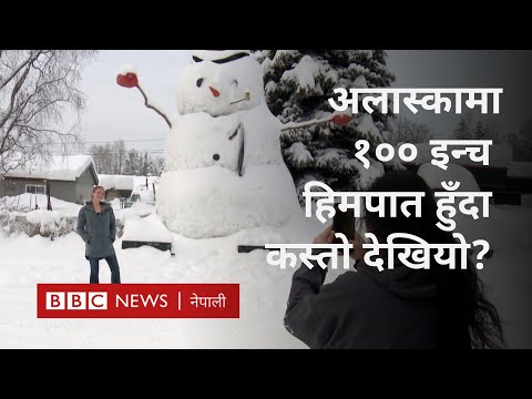 Alaska snowfall: अलास्काको एङ्करिजमा १०० इन्चसम्म हिउँ -BBC Nepali Sewa