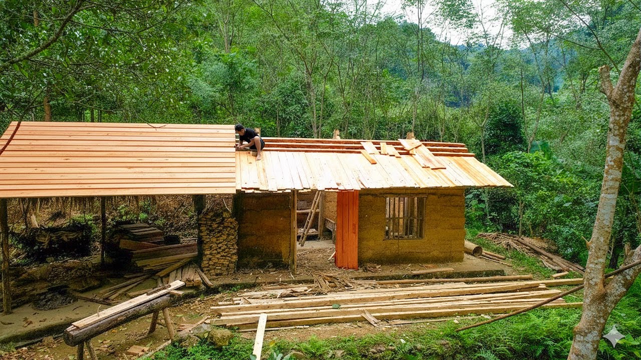Replacing the old, dilapidated thatched roof with wood - Harvesting rice