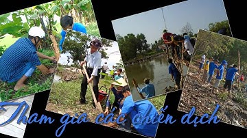 Điển hình tiêu biểu 2015