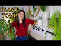 Full houseplant home tour  250 plants  my entire plant collection