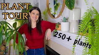 Full Houseplant Home Tour | 250+ Plants | My Entire Plant Collection by Plant Life with Ashley Anita 119,484 views 4 months ago 2 hours, 4 minutes