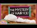 Weird and wonderful forms of ice  winter science  scishow kids