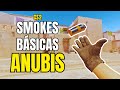 CS2 - SMOKES ANUBIS (LADO TR)
