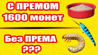 Если качаться без ПРЕМА? На сколько ПРЕМ ускоряет прокачку? ● Русская Рыбалка 4 | РР4