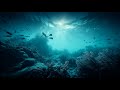 Moonlit Reflections on Gentle Waves | Summer | Deep House | Downtempo | Electronic