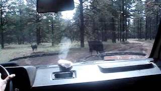 090906 Vanagon Driving Zuni Backroads #2
