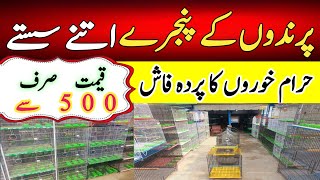 Cheap Price Bird Cages In Karachi 2024 | Master Cage Price In Karachi Pakistan 2024 | Low Price Cage