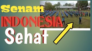 Senam Gerakan Indonesia